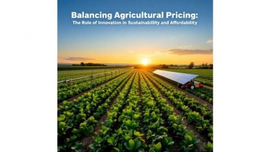 balancing-agricultural-pricing:-the-role-of-innovation-in-sustainability-and-affordability